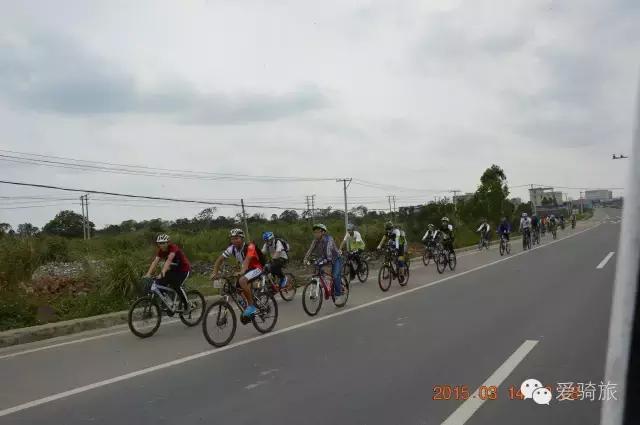 海南环岛游打卡椰林湾,海南椰林游记