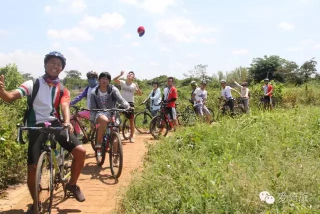 海南环岛游打卡椰林湾,海南椰林游记