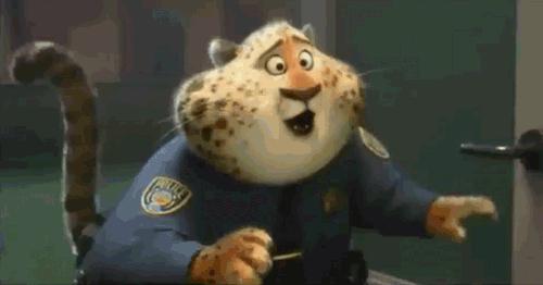 器械最多最全的健身房,健身设备最全的健身房