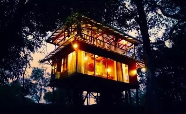 忍不住爱上你,忍不住爱上了你