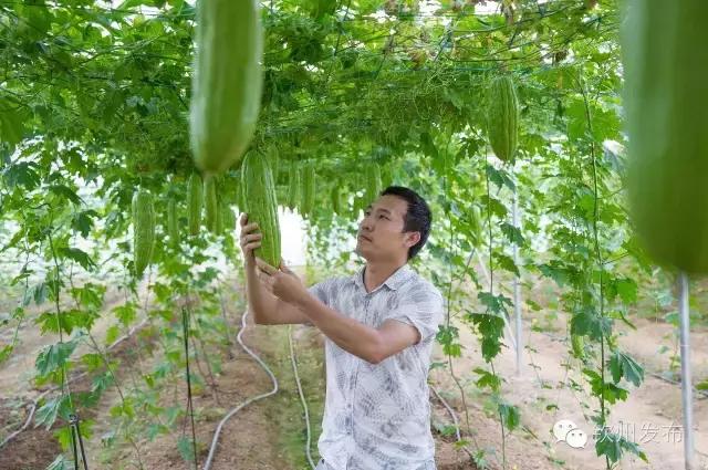 钦州市党代会报告,钦州市召开第六次党代会
