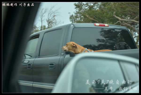 美西自驾6日游,美西10天自驾