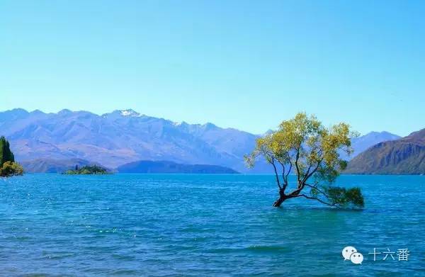 一张照片一段时光油画,随手一拍都是一幅画