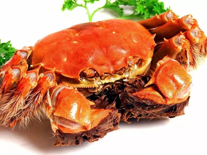 蟹姑娘阳澄湖,正经阳澄湖大闸蟹攻略