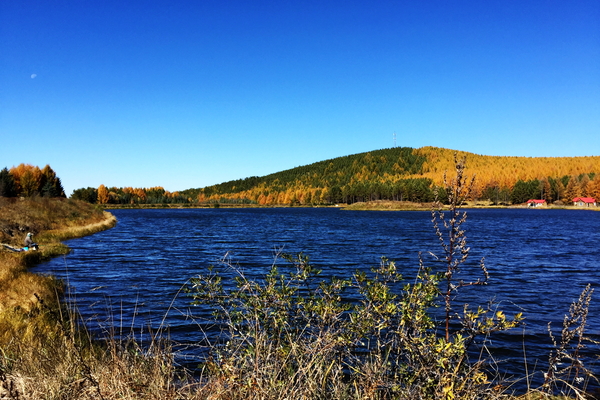 说走就走沙漠,说走就走张家口
