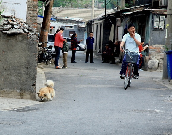 豆瓣相册全集视频,豆瓣相册北京