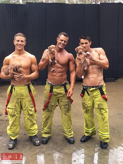 消防员和狗狗可爱瞬间,反差萌消防员