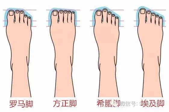 在香港(二):翻箱——香港之行我买了啥