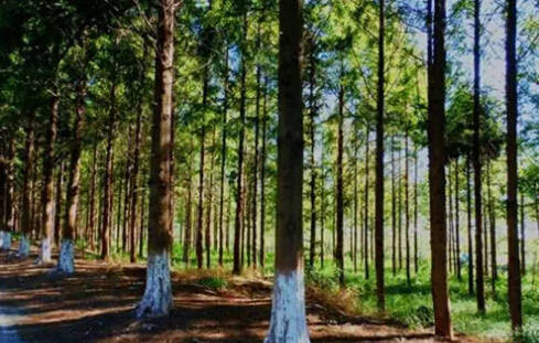 26个英文字母带你看懂我们大如东!