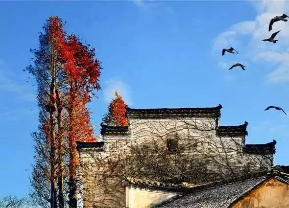 江西10.1小众自驾游路线推荐,江西最好的10条自驾游线路