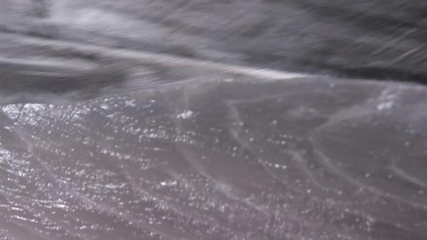 鳗烤肉现烤活鳗鱼探店,食妞