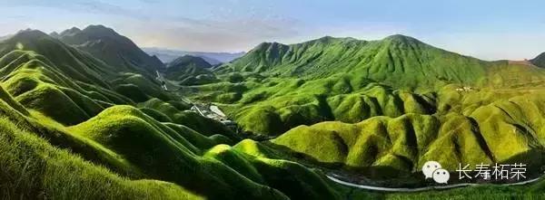 柘荣县旅游必去十大景点,柘荣县楮坪乡景点