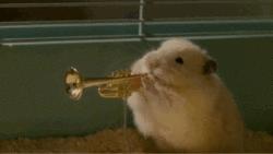 这个超治愈的仓鼠手包，让人不舍得花钱了！