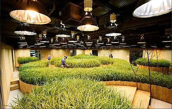 上班累了可种瓜种菜在昆明这家大数据公司上班真洋气！