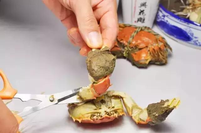 大闸蟹知识教程,大闸蟹基础知识培训