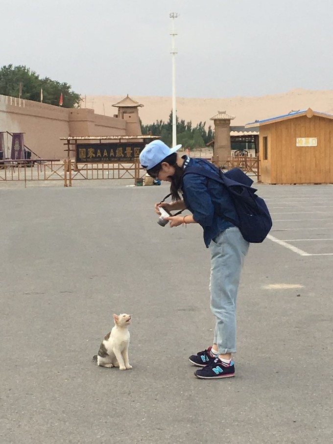 青海大西北之旅 (西宁青海湖张掖敦煌夏季之旅)