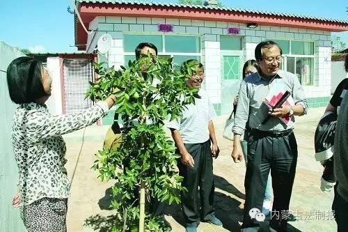 鑱氱劍閯傚皵澶氭柉,杈炬媺鐗规棗閲嶇偣宸ヤ綔