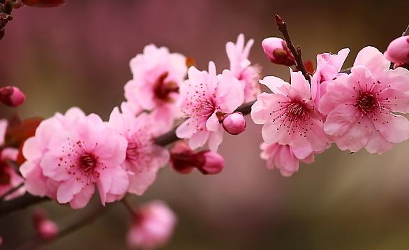 浓浓的姐妹亲情感悟,感悟亲情共度中秋