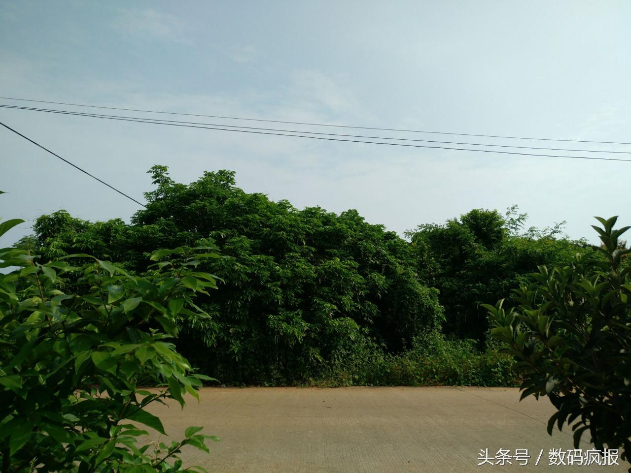 性价比最高的真我手机,乐pro3发布会