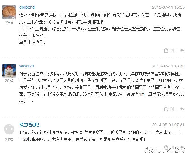 地仙有哪几种动物,有哪些宠物长的比较魔幻