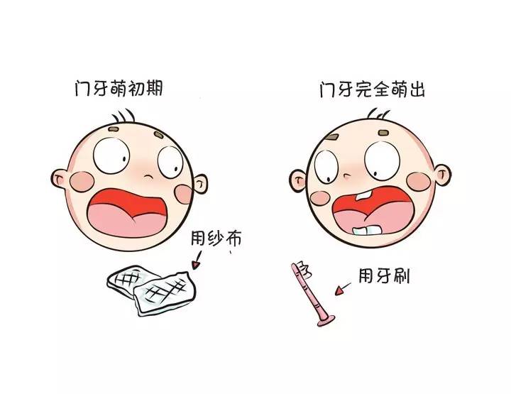 孕期牙齿小tips准妈妈们了解一下,孕期牙齿护理怎么注意饮食