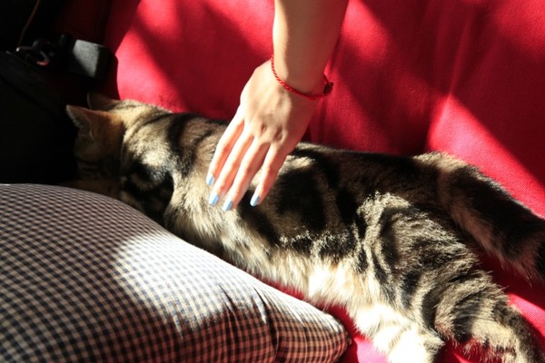 去大连必须做的6件事,去大连一定要做的事