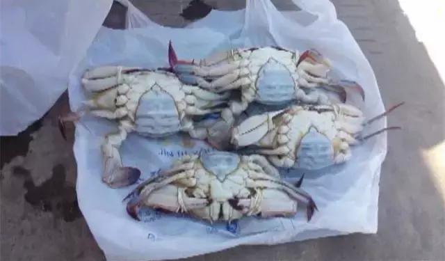 死螃蟹瞬间变活，活虾瞬间变死？这样的“魔术手”，很多人都中招