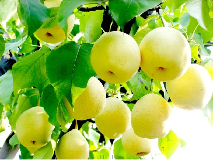 咳嗽是什么引起的止咳应该怎么做,止咳应该吃什么