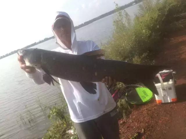 娓旇幏鎴樻姤,澶滈挀娓旇幏鎴樻姤