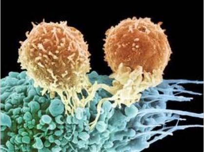 液体活检的“太子”们:ctDNA与CTC