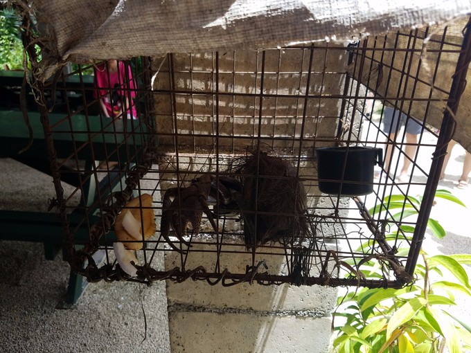 塞班冬游印象记,身处在美景中内心的感受