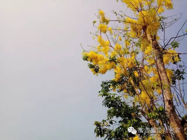 芭提雅水上市场旅游攻略,泰国芭提雅水上市场还有哪些