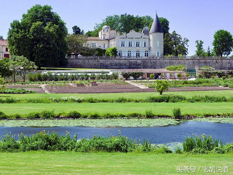 葡萄酒的分级去哪里看,葡萄牙葡萄酒分级体系