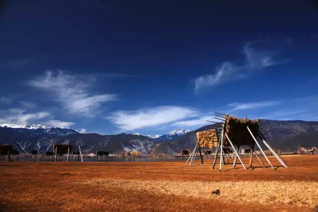 不需要知道你离世的理由，只愿你在天堂能重展笑容！