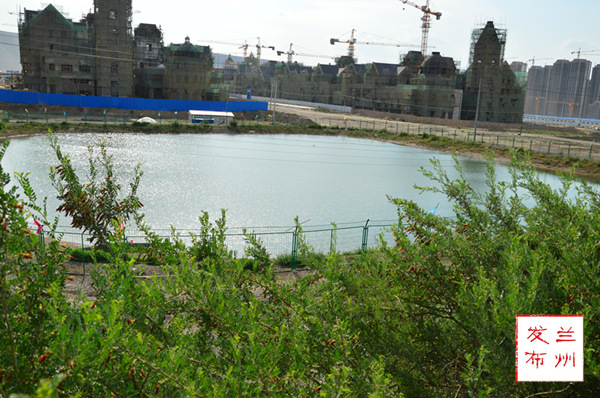 风雨砥砺打通榆中大地农业灌溉大动脉记三电工程兴建五十周年