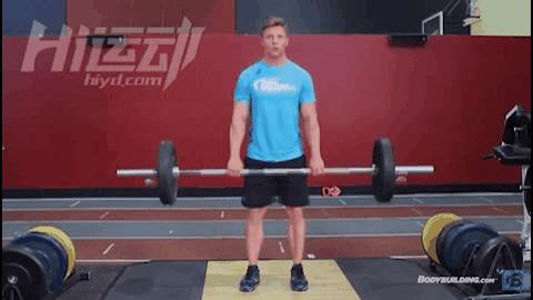 健身房练腿器械使用方法,为什么要练腿