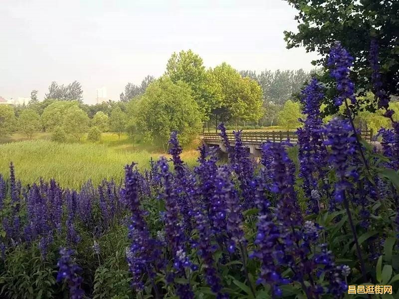 潍坊昌邑，一座如此好色之城，我的家乡我骄傲