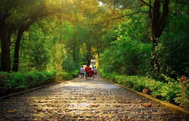 我是海南人我为海南代言,我是兴宁人