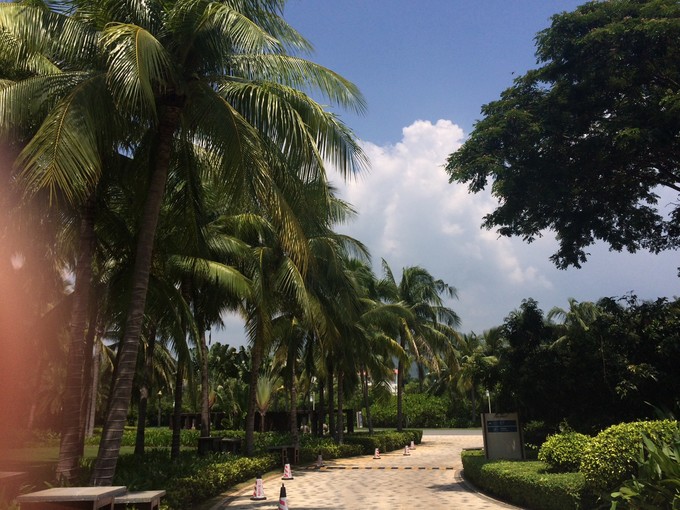 三亚clubmed攻略和价格,三亚clubmed度假村自由行一价全包