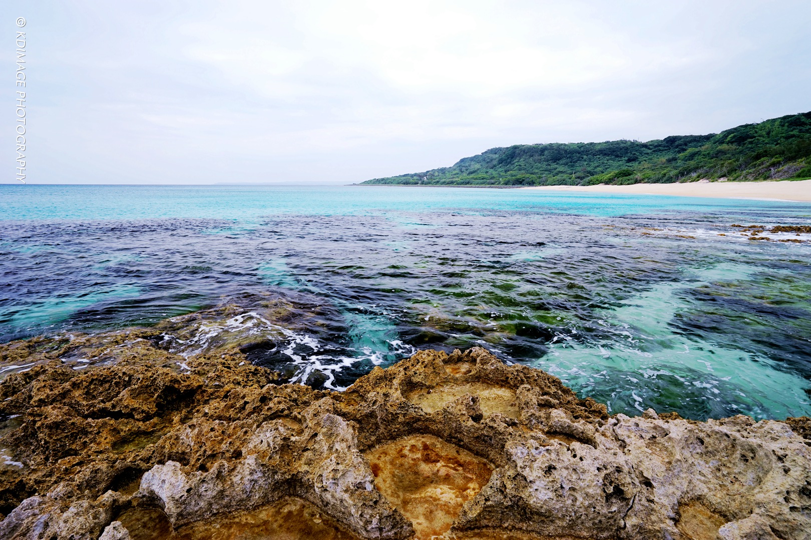 详细的宝岛台湾旅游攻略,宝岛台湾旅游线路攻略图