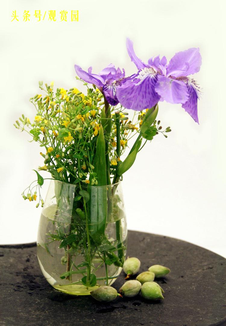 最昂贵的花卉,最贵十种花卉