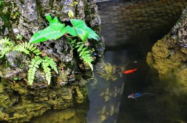 成都国庆悠闲一点到绵竹九龙吧!邻家女孩的感觉!