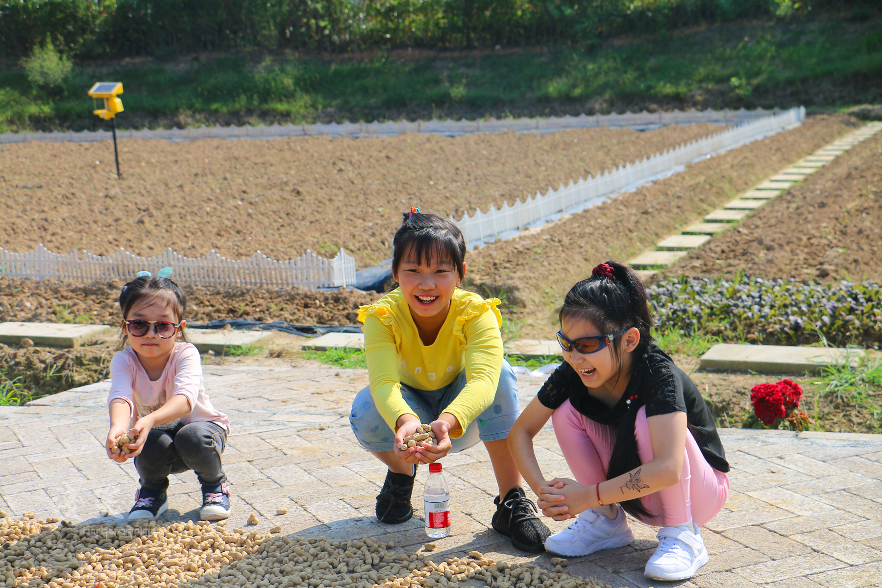 秀出浙江新高度,东阳凤凰谷天澜度假酒店儿童房