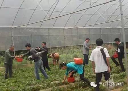 昆明大板桥农家乐的好去处,昆明农家乐烧烤游玩