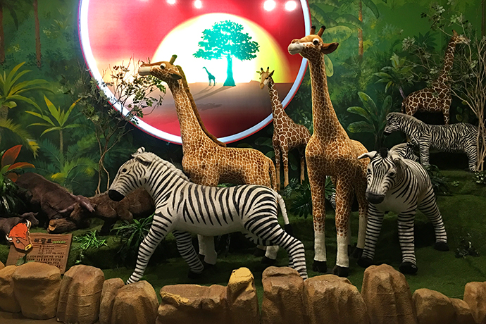 泰迪熊博物馆在韩国哪里,泰迪熊博物馆济州中文馆