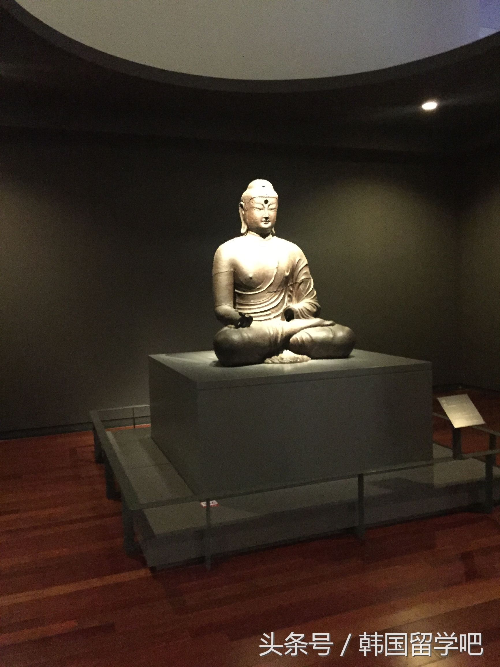 老教授带学生去山洞找文物,韩国教授来到中国博物馆