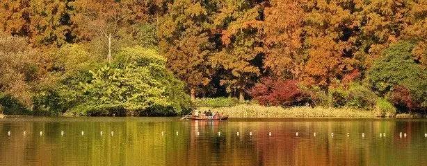 什么样的诗才是好诗阅读理解,什么样的诗才算诗