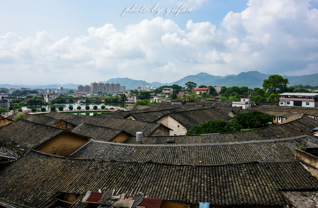 丝路奇迹:观围屋之典范,赏苏铁之传奇