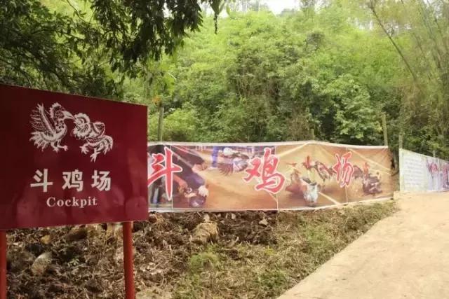 城市套路深我要回农村视频,城市套路深我要回农村dj