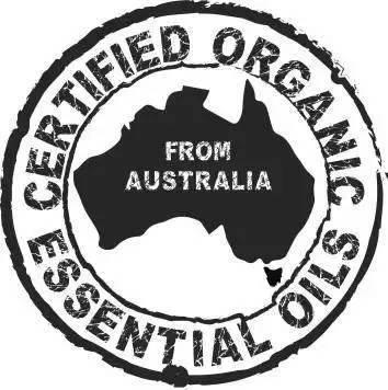 为何这款风靡酒店圈的小黑瓶备受高端酒店青睐？